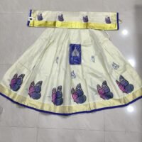 Dhavani Butterfly